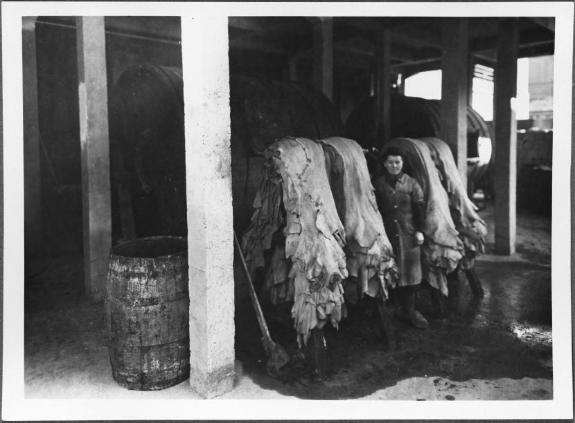 À Rennes, le travail de la peau a été une activité importante jusque dans les années 1920 