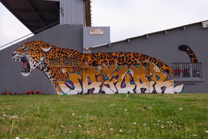 Le jaguar de Primal, au stade de la Bellangerais.