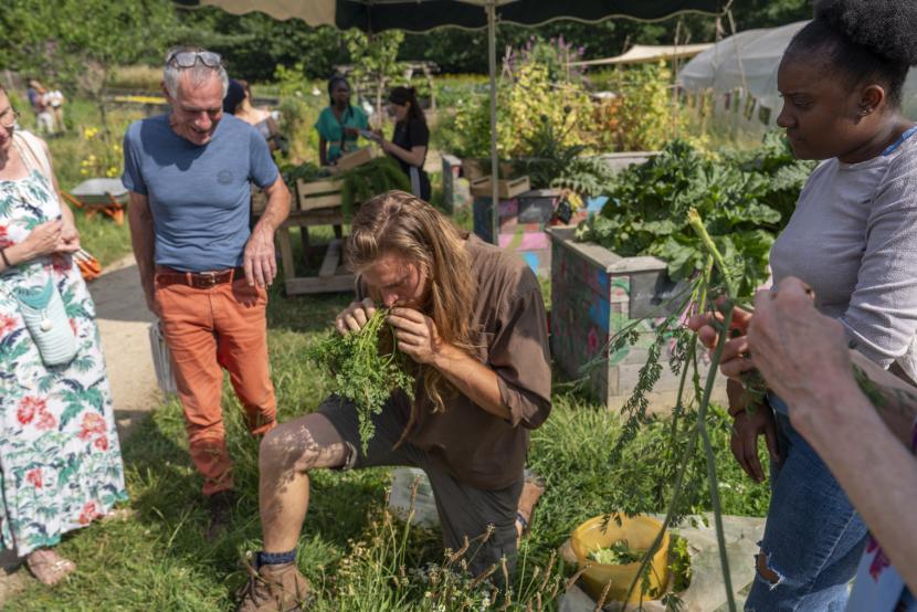 Atelier cueillette au Blosne