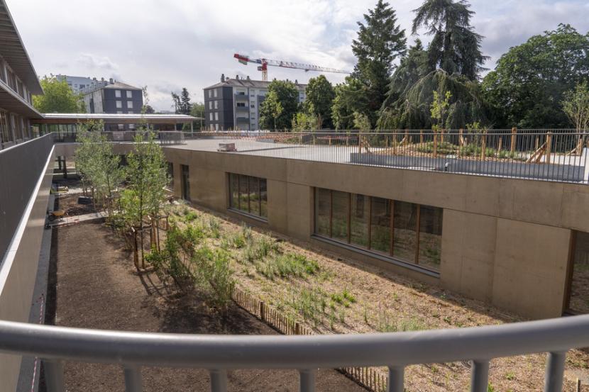 De nombreuses essences d'arbres sont plantées dans le patio de la future école Toni Morrison