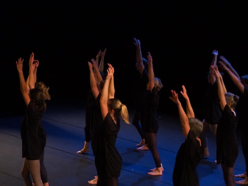 Danse, théâtre, musique, arts plastiques... Les pratiques en amateur sont à l'honneur du festival Les Envolées organisé par La Paillette