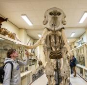 Habituellement réservés à l'enseignement et à la recherche, les fonds zoologiques, géologiques et botaniques de l'Université Rennes 1 s'ouvrent au grand public   