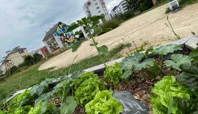 Rennes cultive son jardin