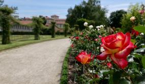 La Rennes des roses 