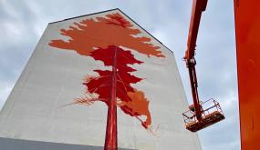 WAR, le plus célèbre des inconnus rennais, réalise une fresque sur un mur de la rue de Saint-Malo