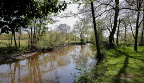 Vue de la Seiche, l'un des affluents de la Vilaine sur le territoire