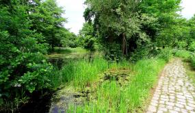 A la découverte des parcs et jardins de la métropole