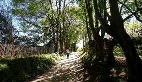 Charte de l'arbre: à vous de donner votre avis!