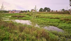 Biodiversité et eau : une stratégie globale à l'échelle locale