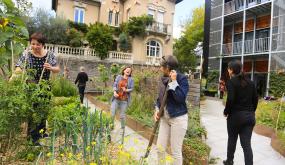 Jardiner et planter en ville 