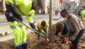 Les enfants de CE1  de l'école Guillevic ont participé à la plantation des chênes sur la place de la mairie avec l'aide des jardiniers de la Ville.